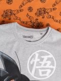 Dvodelna pidžama Dragonball - svetlo siva - SINSAY - small5