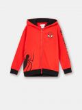 Bluza chłopięca - czerwony - SINSAY - small1