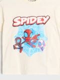 Majica Spider-Man - krem - SINSAY - small12