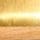 Salatbesteck, 2er-Pack - Gold