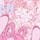 Maska za iPhone 13/14 Stitch - roze