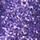 Press-on nails - violet