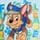 Pidžaamakomplekt PAW Patrol - kahvatusinine