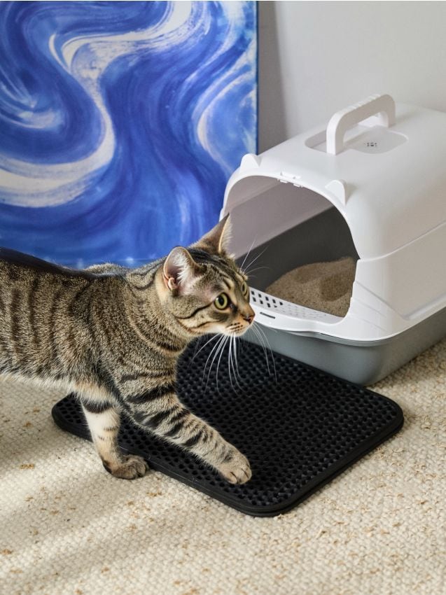 Sinsay - Podložka pod mačaciu toaletu - čierna