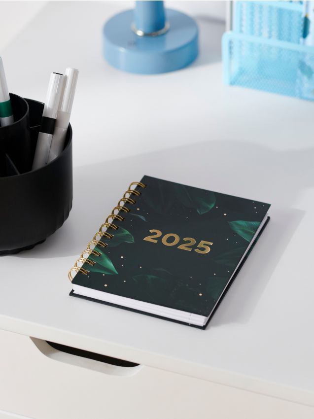 Calendar Color multicolor SINSAY 000CB MLC