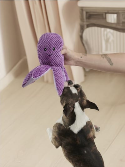 Играчка за грицкање за куче