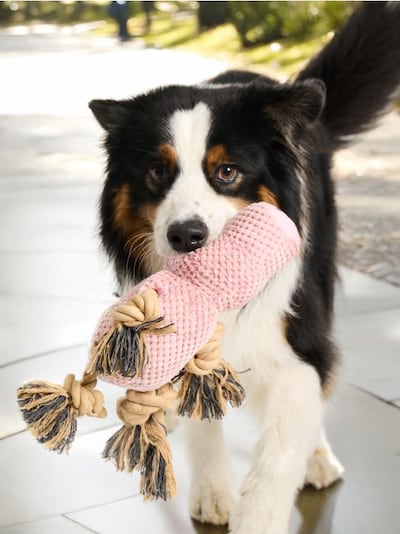 Играчка за грицкање за куче