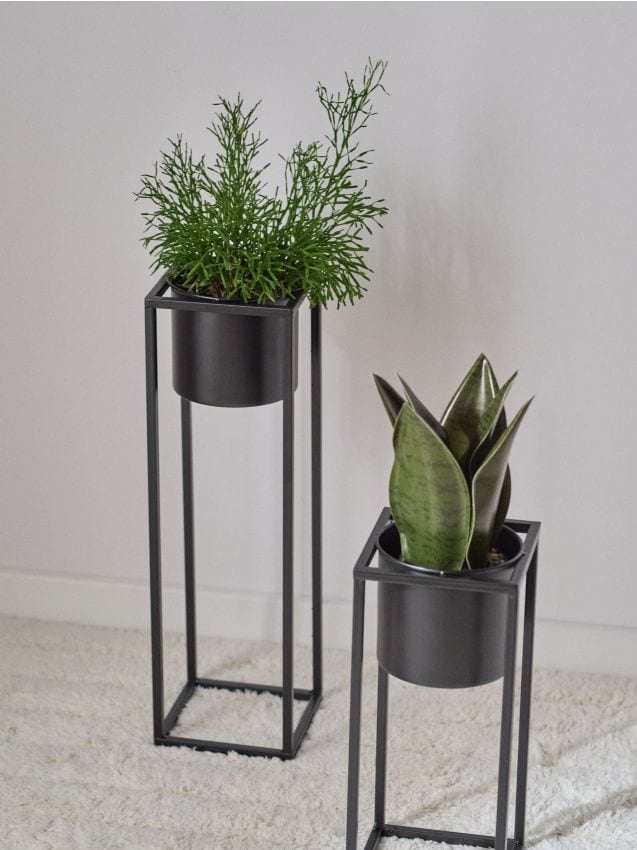 Sinsay - Kvetináč - čierna