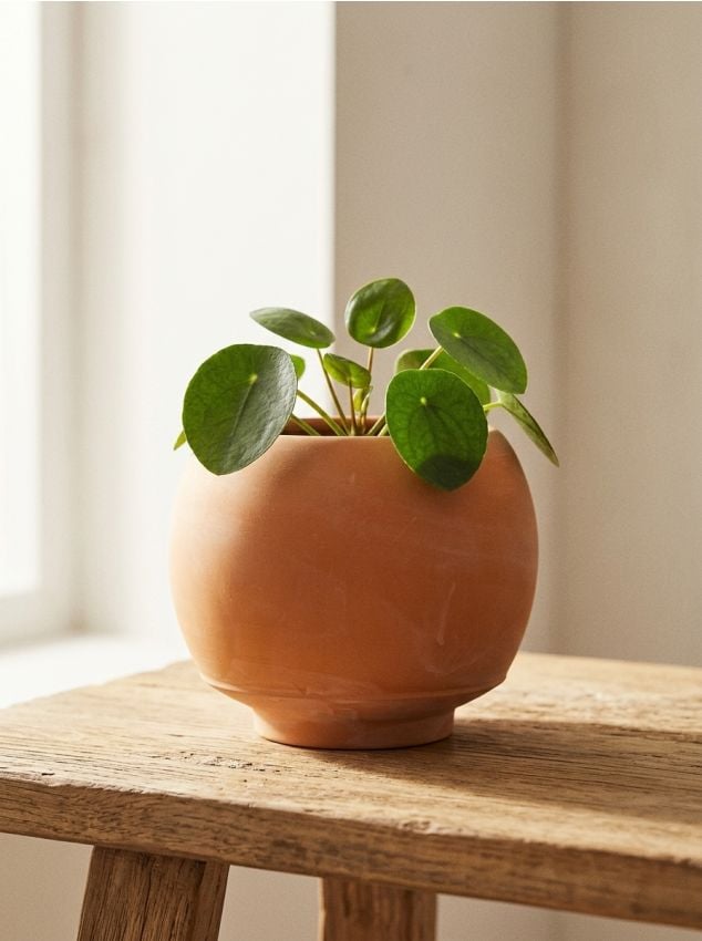 Sinsay - Ghiveci cu formă rotunjită - arămiu