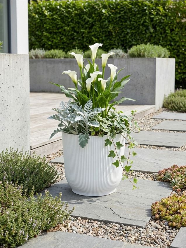 Sinsay - Ghiveci striat - alb