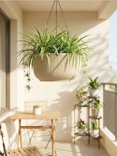 Sooniline rippuv lillepott