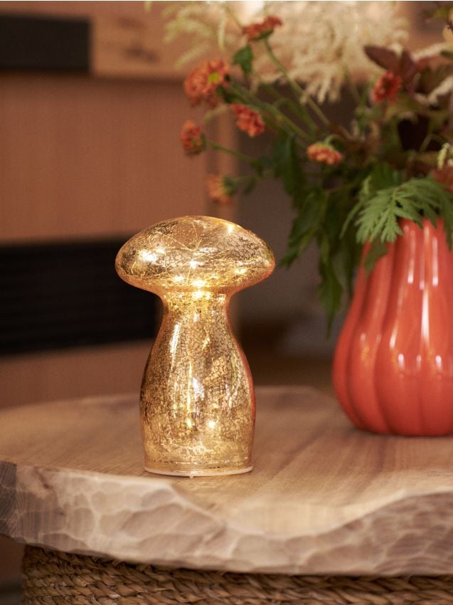 Sinsay - Lampa v tvare huby - svetlooranžová