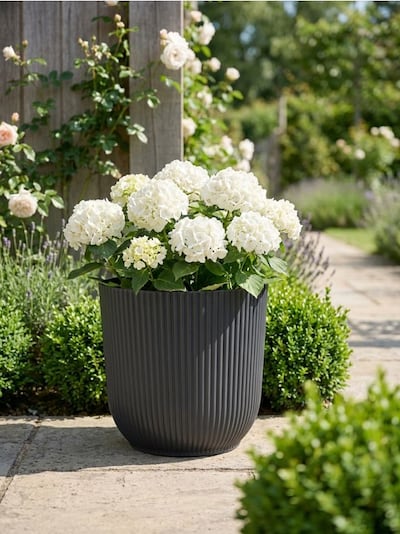 Рифлений горщик для квітів