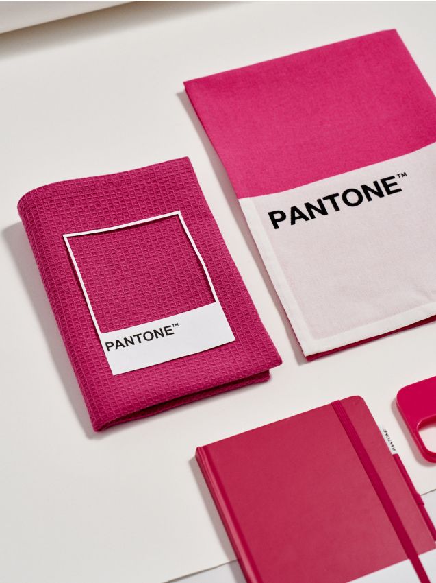 Confezione da 2 canovacci da cucina Pantone - fucsia