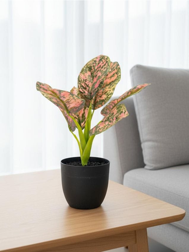 Sinsay - Plantă decorativă artificială în ghiveci cu frunze colorate - multicolor