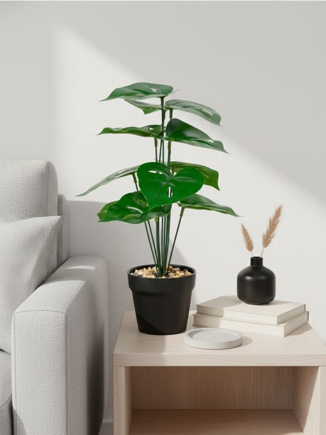 Sinsay - Plantă decorativă în ghiveci - verde