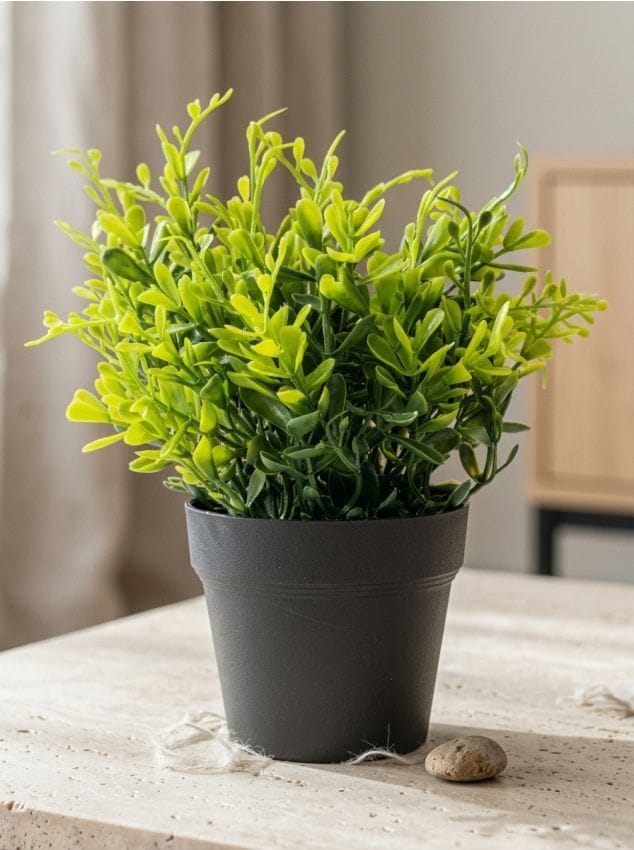 Sinsay - Plantă decorativă artificială în ghiveci - verde