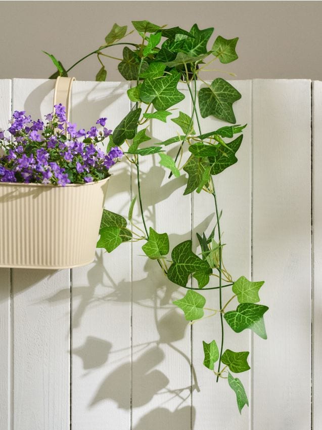 Sinsay - Plantă decorativă – iederă în ghiveci - verde