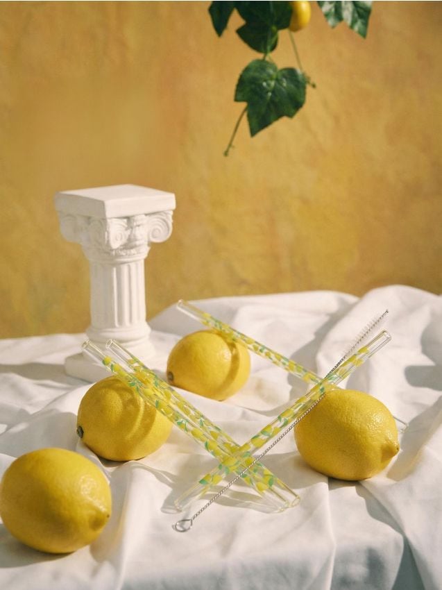 Sinsay - Paie cu motiv de lămâi și perie de curățare 5 pack - galben