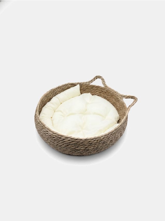 Sinsay - Culcuș pentru pisică cu urechi - crem