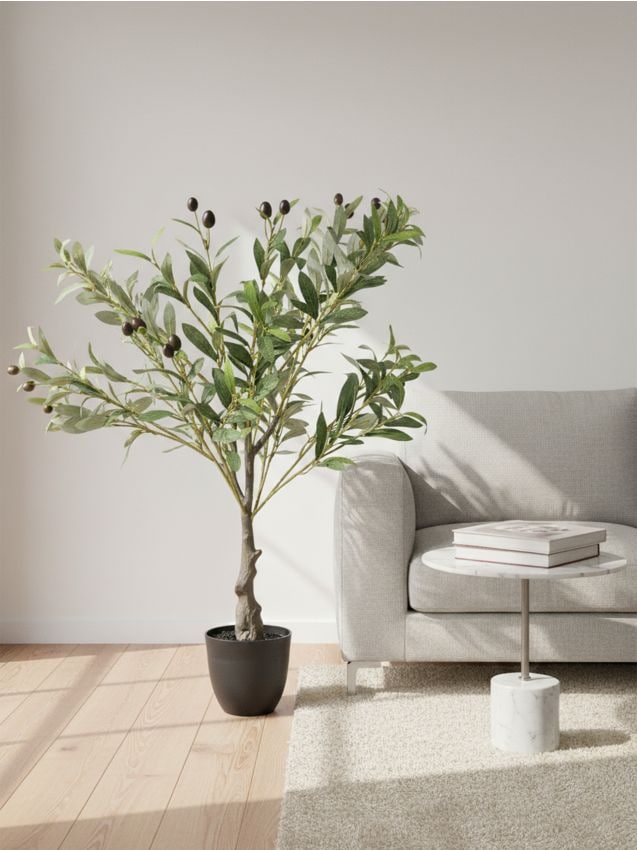 Sinsay - Plantă decorativă în ghiveci - verde