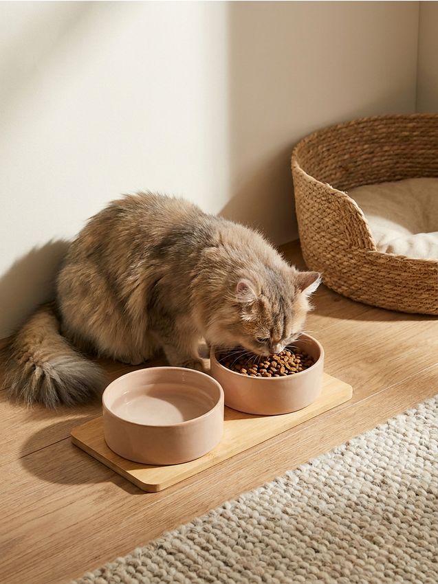 Sinsay - Boluri din ceramică pentru animale cu bază din bambus - crem