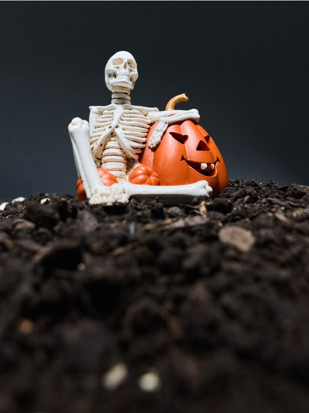 Sinsay - Decorațiune LED de Halloween în formă de schelet și dovleac - alb