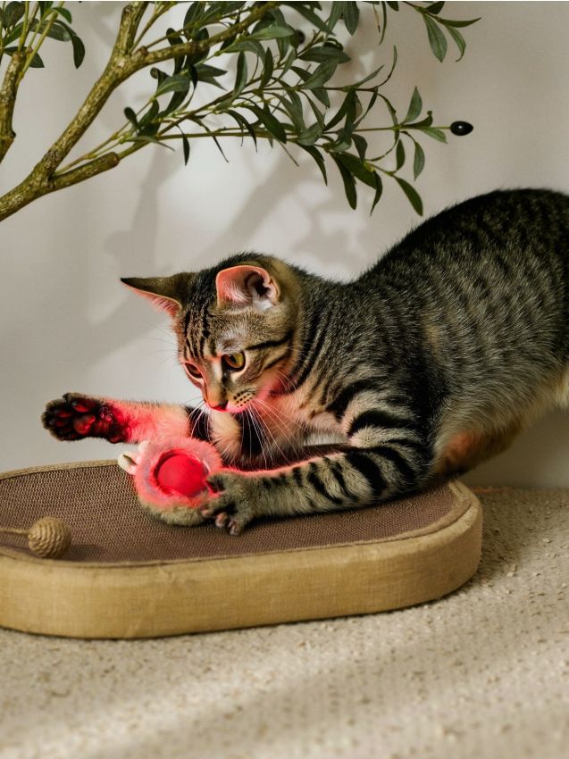 Sinsay - Minge electrică pentru pisici - roșu