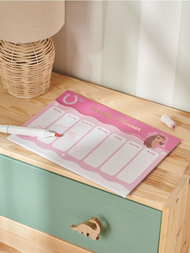 Sinsay - Planificator - multicolor