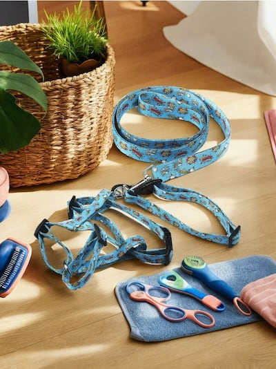 Povodac, ogrlica i orma za psa