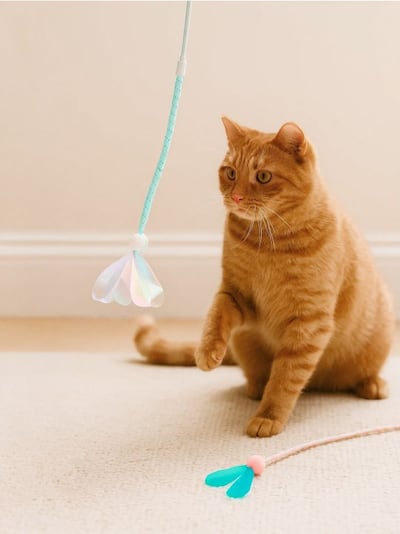 Kassipoegade mänguasjad 2 tk komplekt