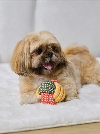 Set za pse – igračka za povlačenje i lopta 2 komada