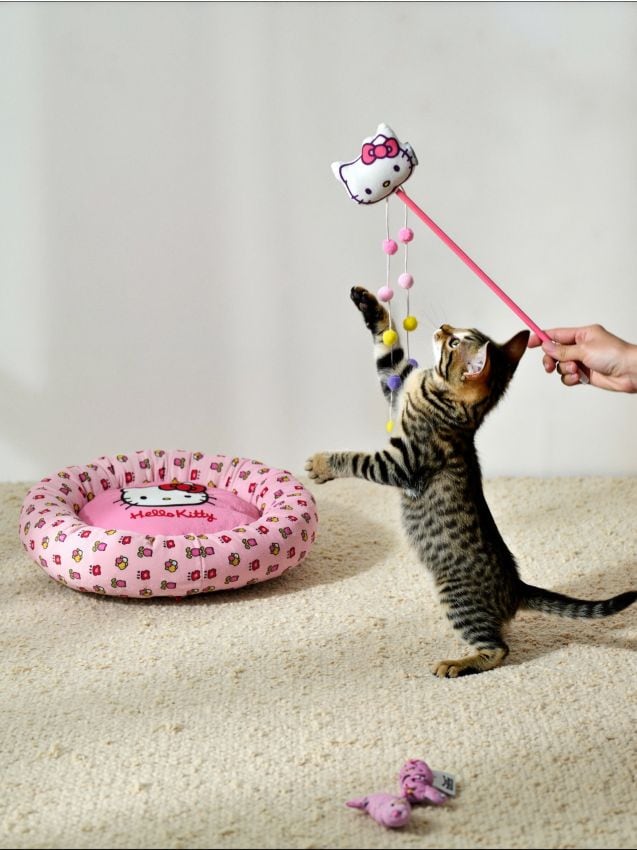Igrača za mačko Hello Kitty - SINSAY