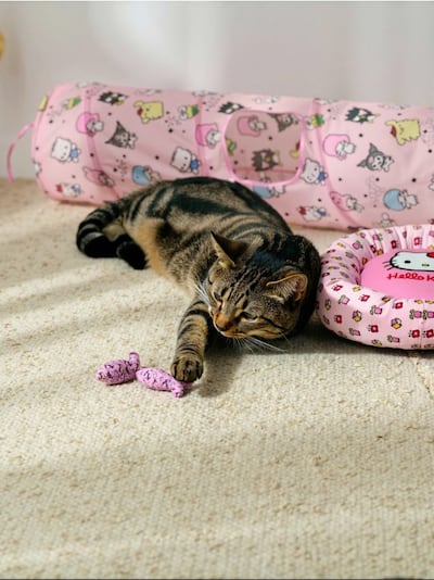 Igračka za mačke 2 pack Hello Kitty