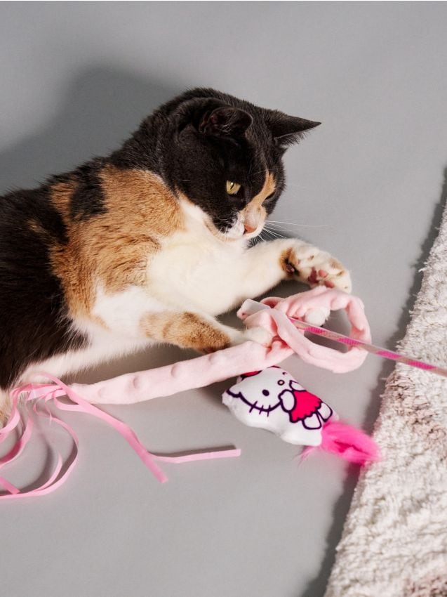 Jucărie pentru pisici Hello Kitty - SINSAY