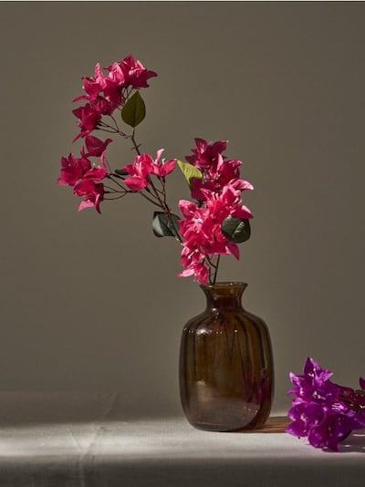 Декоративна рослина у формі гілки