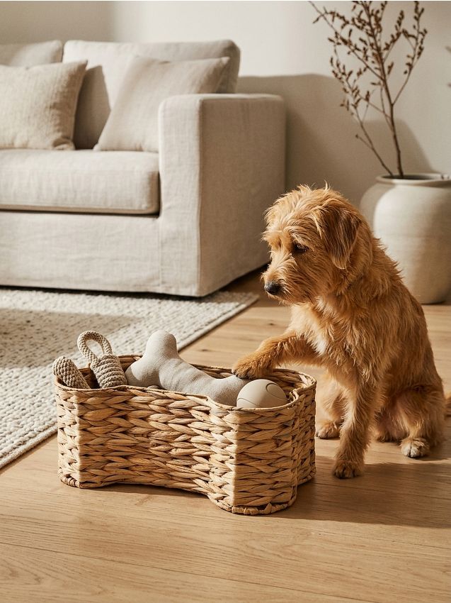 Sinsay - Organizator - bej