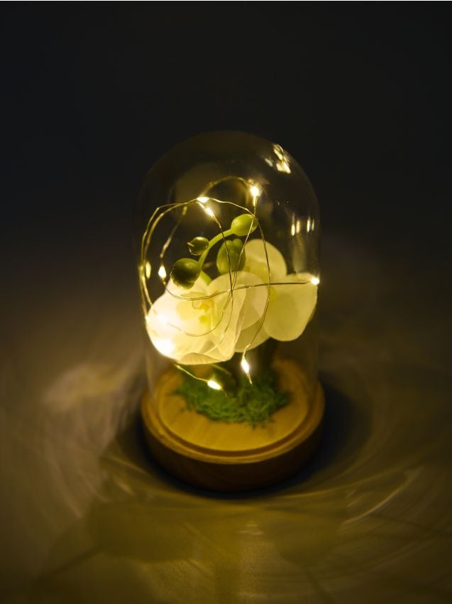 Sinsay - Lampă decorativă LED cu floare sub clopot de sticlă - alb