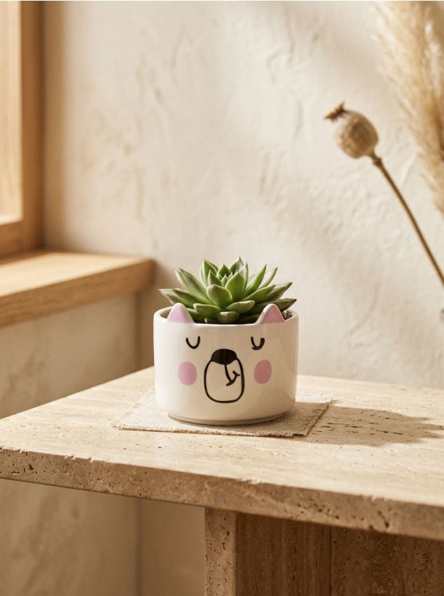 Sinsay - Ghiveci cu motiv de ursuleț - multicolor