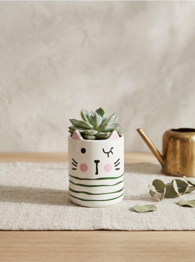 Sinsay - Ghiveci cu motiv de pisică - multicolor