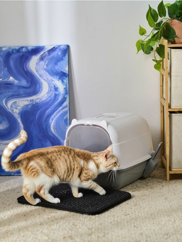 Sinsay - Litieră pentru pisică - gri deschis