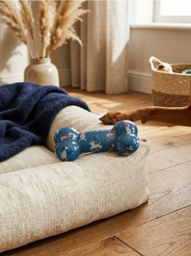 Sinsay - Jucărie pentru câine - multicolor