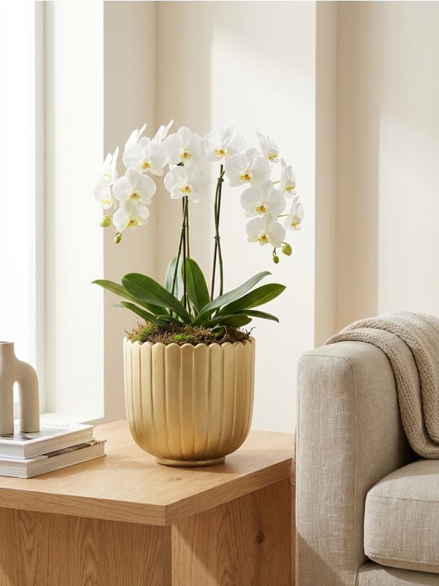 Sinsay - Ghiveci ceramic cu striații - auriu