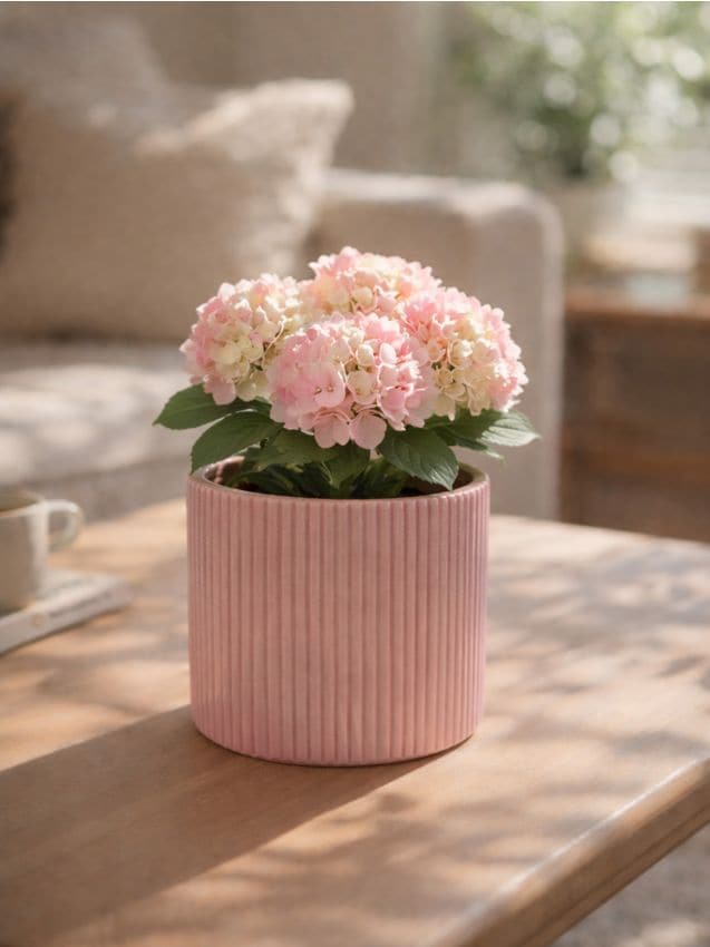 Sinsay - Ghiveci ceramic cu striații - roz-pastel