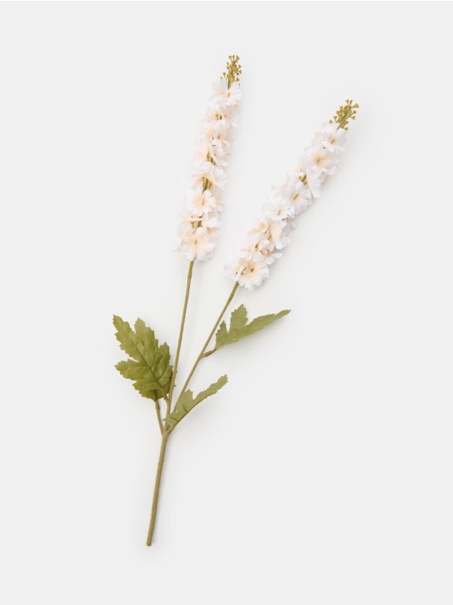 Sinsay - Plantă decorativă – delfiniu - alb