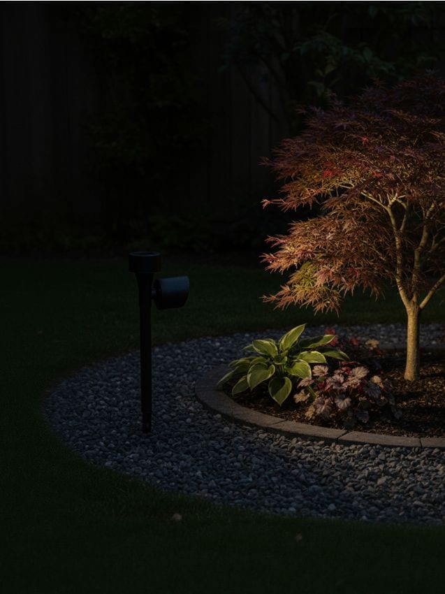 Sinsay - Proiector solar LED de grădină pentru înfipt în pământ - negru