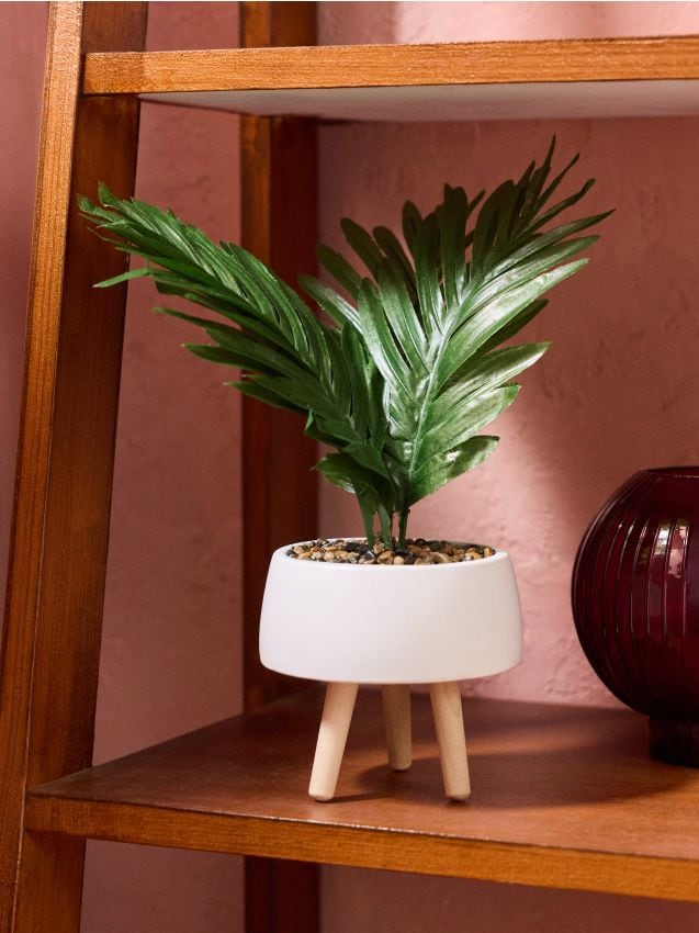 Sinsay - Plantă decorativă în ghiveci - verde