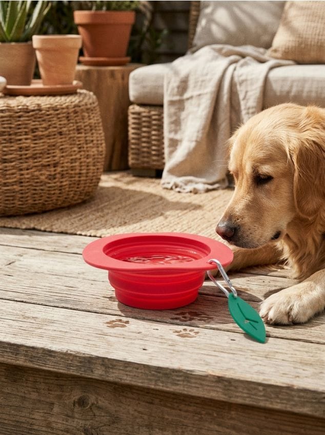 Sinsay - Bol de călătorie pliabil în formă de măr - roșu