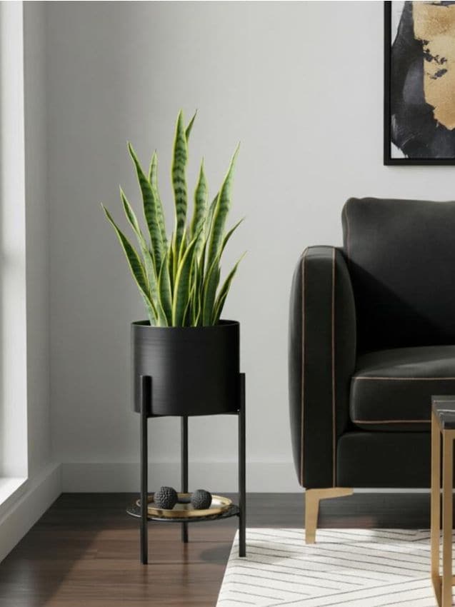 Sinsay - Suport pentru flori cu poliță inferioară - negru