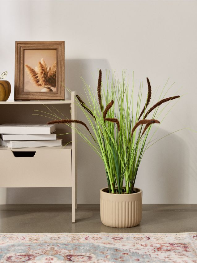 Sinsay - Plantă decorativă în ghiveci – iarbă înaltă - verde